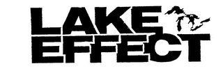 LAKE EFFECT logo