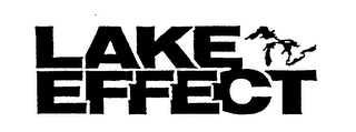 LAKE EFFECT logo
