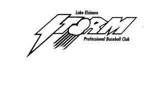 LAKE ELSINORE STORM PROFESSIONAL BASEBALL CLUB logo