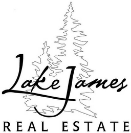 LAKE JAMES REAL ESTATE logo