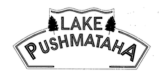 LAKE PUSHMATAHA logo