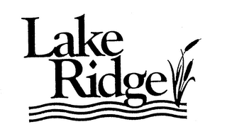 LAKE RIDGE