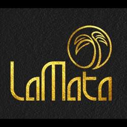 LAMATA logo
