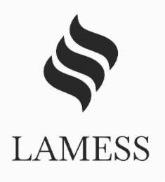 LAMESS logo