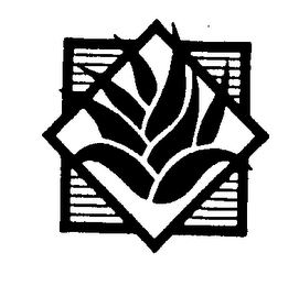 LAMETCO INTERNATIONAL logo