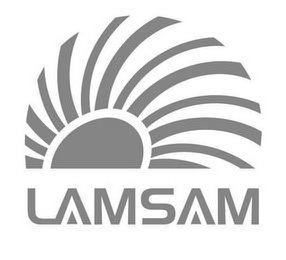 LAMSAM logo