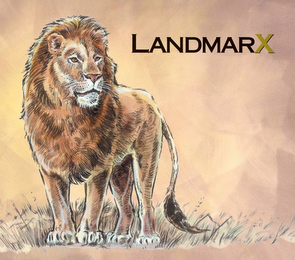 LANDMARX logo