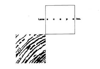 LANE SCAPE INC. logo