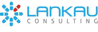 LANKAU CONSULTING logo