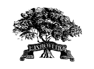 L'ANTICO ULIVO logo