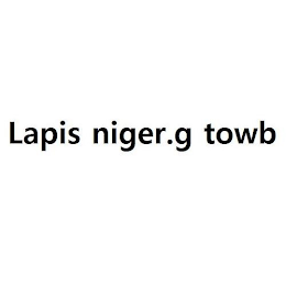 LAPIS NIGER.G TOWB logo