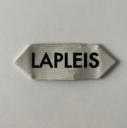 LAPLEIS logo