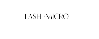 LASH + MICRO logo