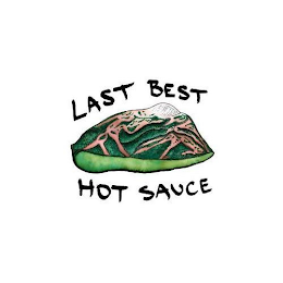 LAST BEST HOT SAUCE logo