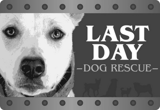 LAST DAY DOG RESCUE logo