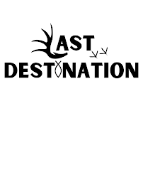 LAST DESTINATION logo