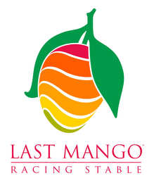 LAST MANGO RACING STABLE logo