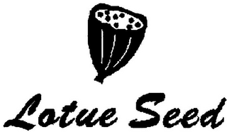 LATUE SEED logo