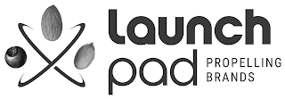 LAUNCH PAD logo