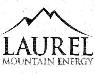 LAUREL MOUNTAIN ENERGY logo