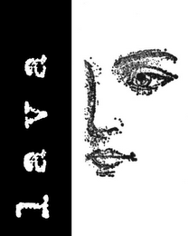 LAVA logo