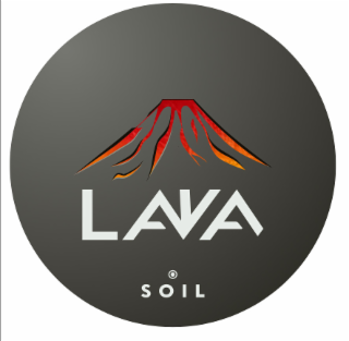 LAVA SOIL logo