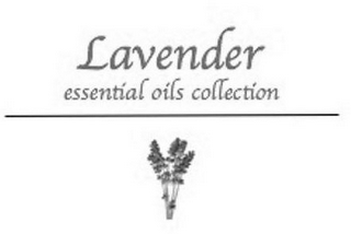 LAVENDER ESSENTIAL OILS COLLECTION logo