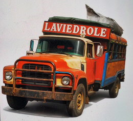LAVIE DROLE logo