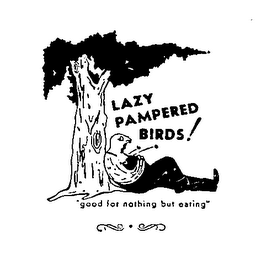 LAZY PAMPERED BIRDS! GOOD FOR NOTHING BUT EATING logo