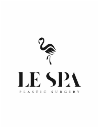 LE SPA PLASTIC SURGERY logo