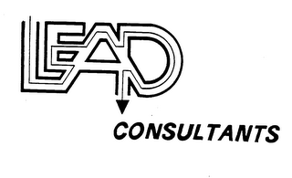 LEAD CONSULTANTS logo