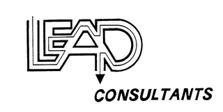 LEAD CONSULTANTS logo