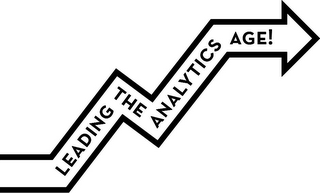 LEADING THE ANALYTICS AGE! logo