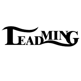 LEADMING logo