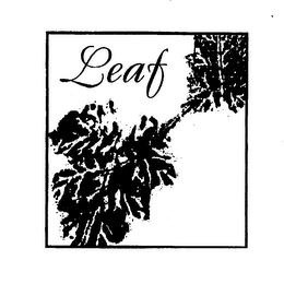 LEAF logo