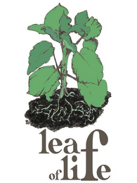 LEAF OF LIFE logo