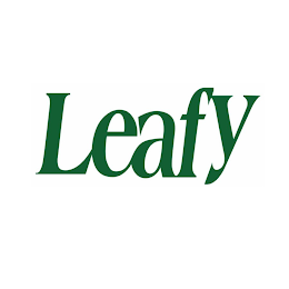 LEAFY logo