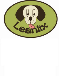 LEANLIX logo