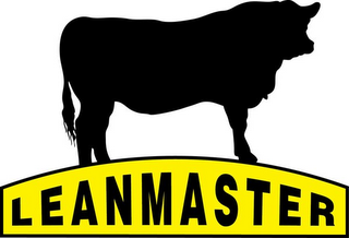 LEANMASTER logo