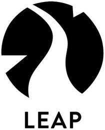 LEAP logo