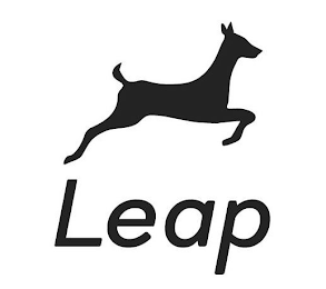 LEAP logo