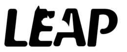 LEAP logo