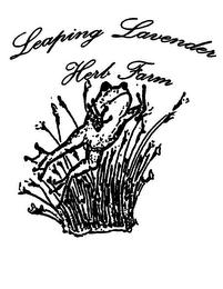 LEAPING LAVENDER HERB FARM logo