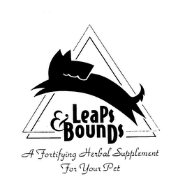 LEAPS & BOUNDS A FORTIFYING HERBAL SUPPLEMENT FOR YOUR PET logo