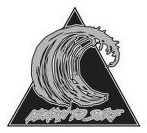 LEARN TO SURF logo