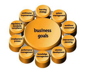 LEARNING STRATEGY, SYSTEM MANAGEMENT, WORKFORCE ASSESSMENT, INTERVENTION PLANNING, SOLUTION DEVELOPMENT, KNOWLEDGE MANAGMENT, PERFORMANCE MANAGEMENT, EMPLOYMENT PROCESS, REGULATORY & STANDARDS COMPLIANCE, CONTINUOUS IMPROVEMENT, BUSINESS GOALS logo