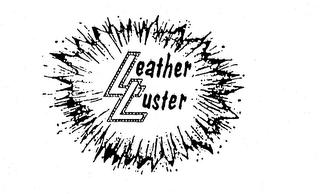 LEATHER LUSTER