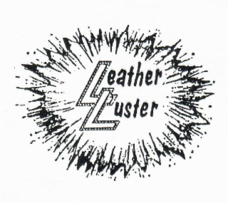 LEATHER LUSTER logo