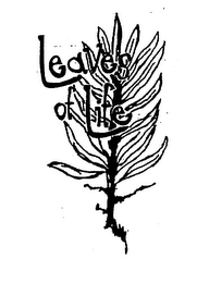 LEAVES OF LIFE logo