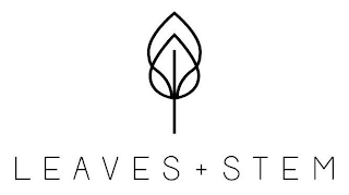LEAVES + STEM logo
